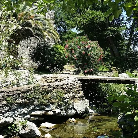 Moulin Casta Avec Riviere Et Piscine En Pleine Nature San-Gavino-di-Tenda